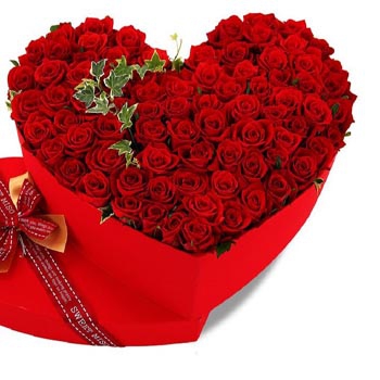 Red Roses Millie Syria